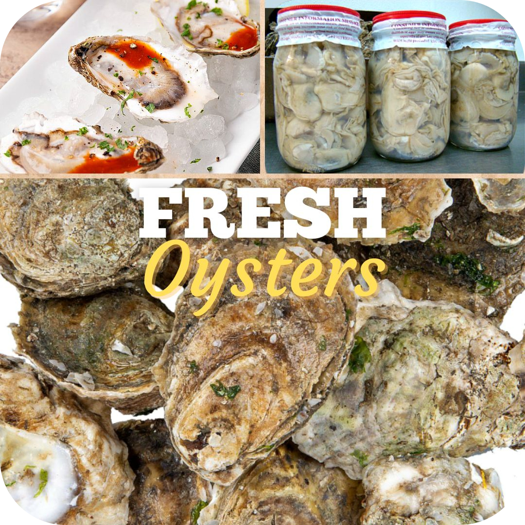 Image Shop Fresh Oysters